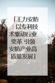 王力安防：以专利技术驱动行业变革 引领安防产业高质量发展