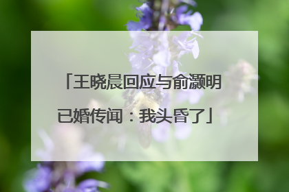 王晓晨回应与俞灏明已婚传闻：我头昏了