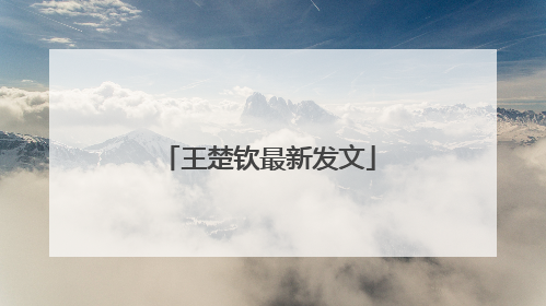 王楚钦最新发文