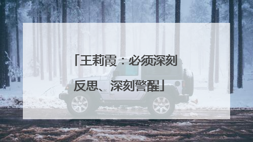 王莉霞：必须深刻反思、深刻警醒