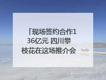 现场签约合作136亿元 四川攀枝花在这场推介会上画“图谱”列“清单”