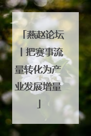 燕赵论坛丨把赛事流量转化为产业发展增量