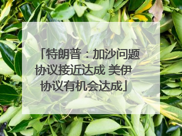 特朗普：加沙问题协议接近达成 美伊协议有机会达成