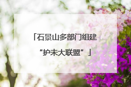 石景山多部门组建“护未大联盟”