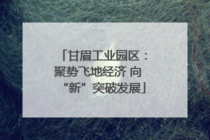 甘眉工业园区：聚势飞地经济 向“新”突破发展