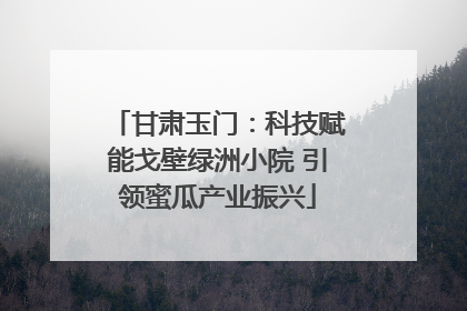 甘肃玉门：科技赋能戈壁绿洲小院 引领蜜瓜产业振兴