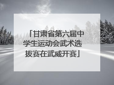 甘肃省第六届中学生运动会武术选拔赛在武威开赛