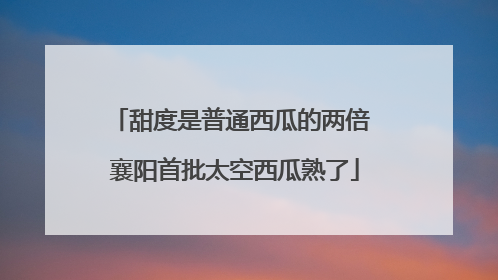 甜度是普通西瓜的两倍 襄阳首批太空西瓜熟了