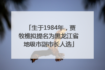生于1984年，贾牧樵拟提名为黑龙江省地级市副市长人选