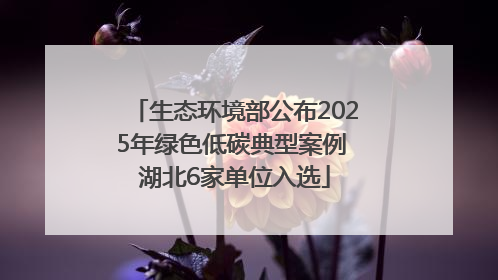 生态环境部公布2025年绿色低碳典型案例 湖北6家单位入选