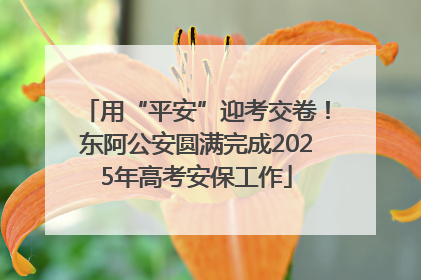 用“平安”迎考交卷！东阿公安圆满完成2025年高考安保工作