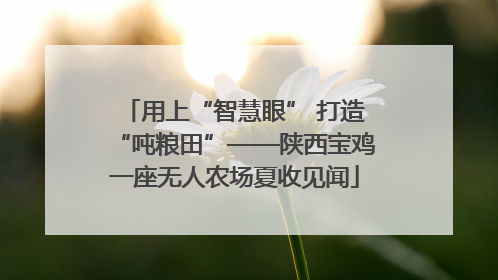 用上“智慧眼” 打造“吨粮田”——陕西宝鸡一座无人农场夏收见闻