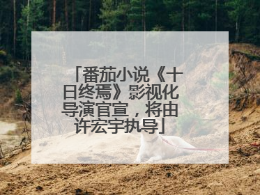 番茄小说《十日终焉》影视化导演官宣，将由许宏宇执导