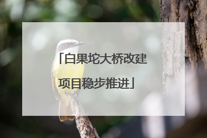 白果坨大桥改建项目稳步推进