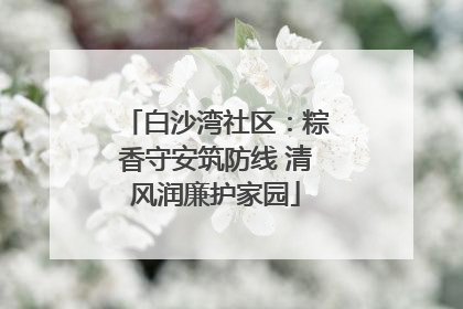 白沙湾社区：粽香守安筑防线 清风润廉护家园