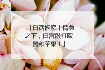白话拆解丨情急之下，白宫敲打欧盟和苹果！