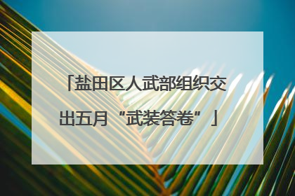 盐田区人武部组织交出五月“武装答卷”