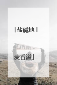 盐碱地上麦香溢