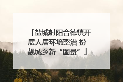 盐城射阳合德镇开展人居环境整治 扮靓城乡新“图景”