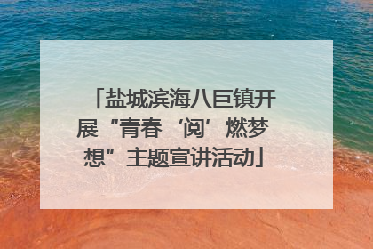 盐城滨海八巨镇开展“青春‘阅’燃梦想”主题宣讲活动