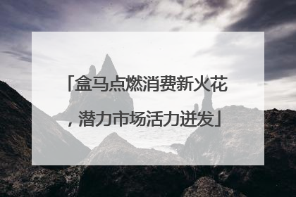 盒马点燃消费新火花，潜力市场活力迸发