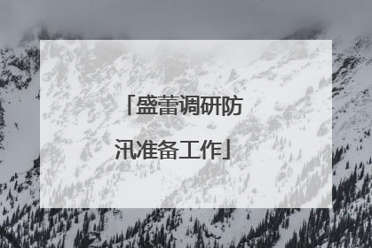 盛蕾调研防汛准备工作