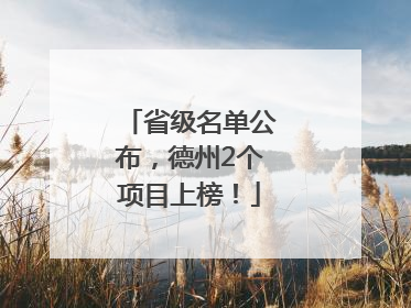 省级名单公布，德州2个项目上榜！