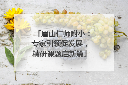 眉山仁师附小：专家引领促发展，精研课题启新篇