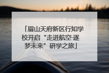眉山天府新区行知学校开启“走进航空·逐梦未来”研学之旅