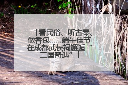 看民俗、听古琴、做香包……端午佳节在成都武侯祠邂逅“三国奇遇”