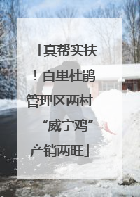 真帮实扶！百里杜鹃管理区两村“威宁鸡”产销两旺