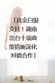 真金白银支持！湖南出台十项政策措施深化对德合作