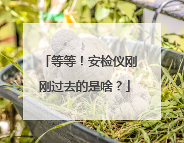 等等！安检仪刚刚过去的是啥？