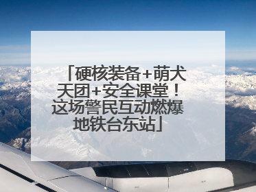 硬核装备+萌犬天团+安全课堂！这场警民互动燃爆地铁台东站