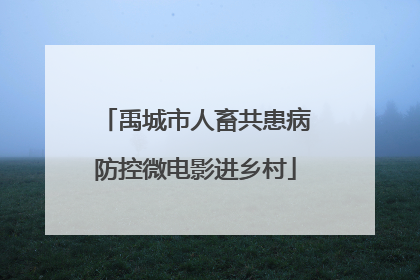 禹城市人畜共患病防控微电影进乡村