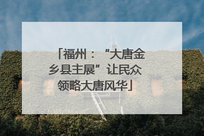 福州：“大唐金乡县主展”让民众领略大唐风华