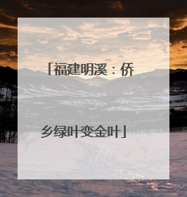 福建明溪：侨乡绿叶变金叶