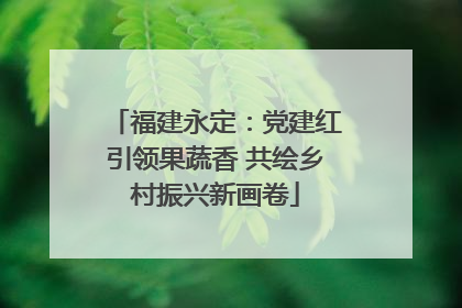 福建永定：党建红引领果蔬香 共绘乡村振兴新画卷