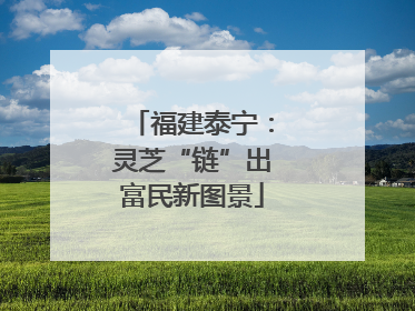 福建泰宁：灵芝“链”出富民新图景