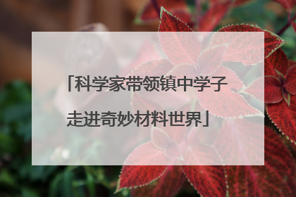 科学家带领镇中学子走进奇妙材料世界