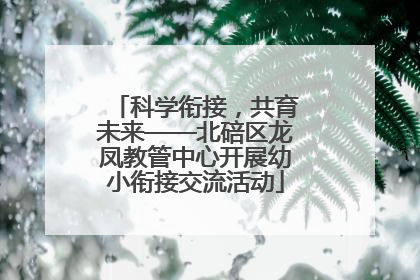 科学衔接，共育未来——北碚区龙凤教管中心开展幼小衔接交流活动