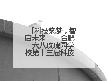 科技筑梦，智启未来——合肥一六八玫瑰园学校第十三届科技节机器人系列体验赛燃动校园