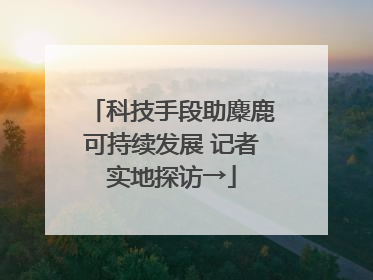 科技手段助麋鹿可持续发展 记者实地探访→