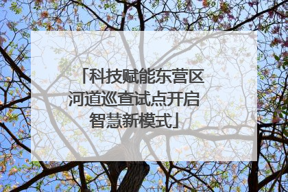 科技赋能东营区河道巡查试点开启智慧新模式