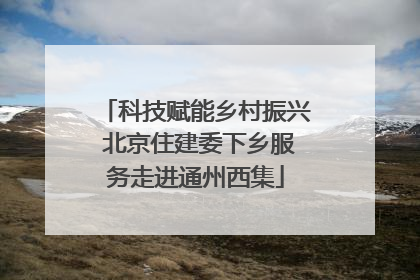 科技赋能乡村振兴 北京住建委下乡服务走进通州西集