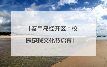 秦皇岛经开区：校园足球文化节启幕