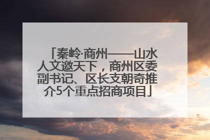 秦岭·商州——山水人文邀天下，商州区委副书记、区长支朝奇推介5个重点招商项目