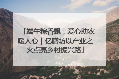 端午粽香飘，爱心助农暖人心｜亿膳坊以产业之火点亮乡村振兴路