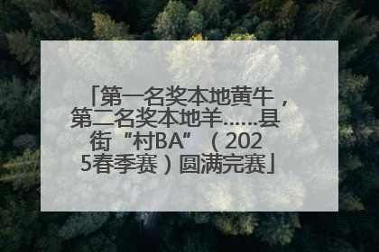 第一名奖本地黄牛，第二名奖本地羊……县街“村BA”（2025春季赛）圆满完赛
