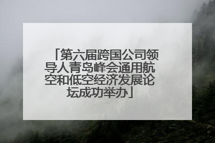 第六届跨国公司领导人青岛峰会通用航空和低空经济发展论坛成功举办